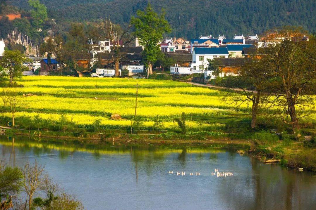 贵州省锦屏县敦寨镇雷屯村:绘就美丽乡村新图景_文明_杨晓海_沙洲
