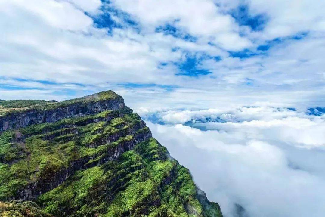 一,美景攻略篇轿顶山景区旅游攻略:大家期待已久的鲁甸轿顶山景区于