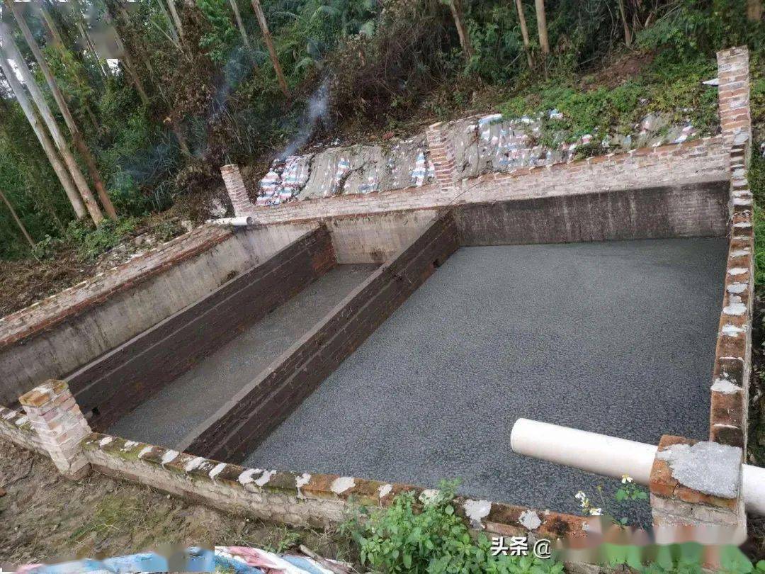 微生物将猪粪水快速发酵除臭变成液态肥操作技术_畜禽_进行_粪便