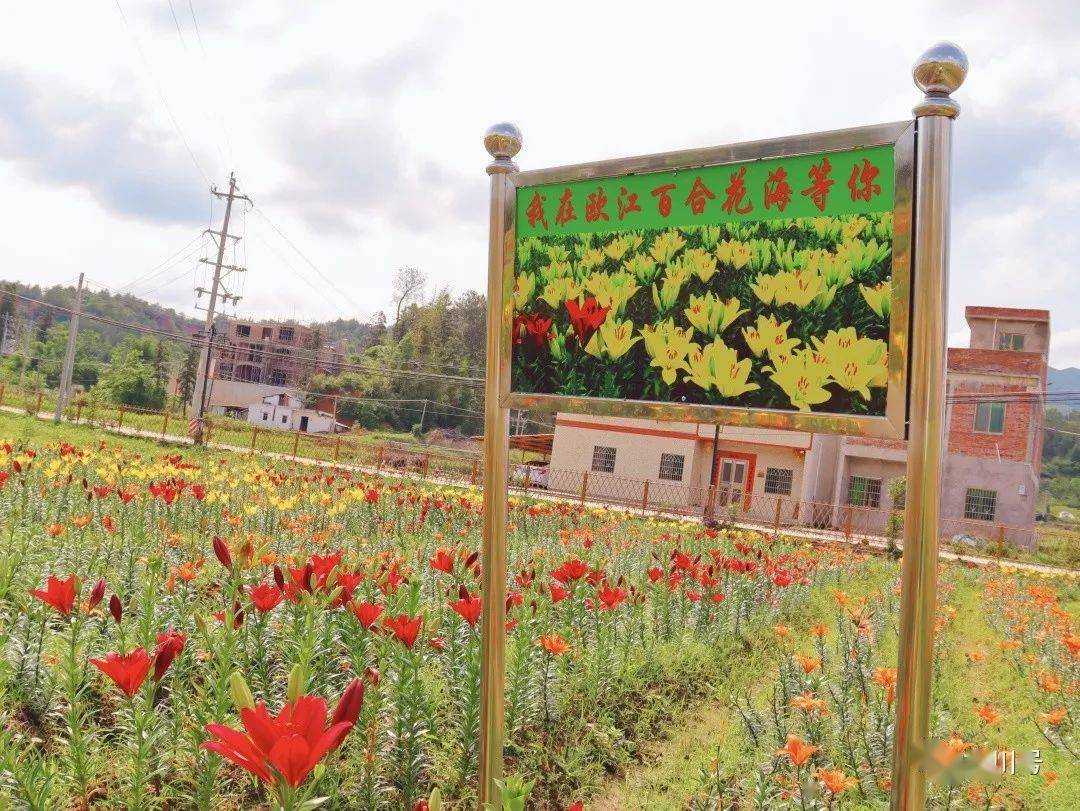 地理位置龙川县黄布镇欧江村高塘角(仙寨乡苏维埃政府旧址)(导航