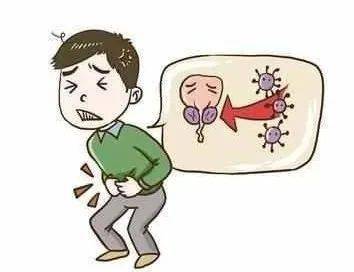 13岁男孩睾丸扭转540°!