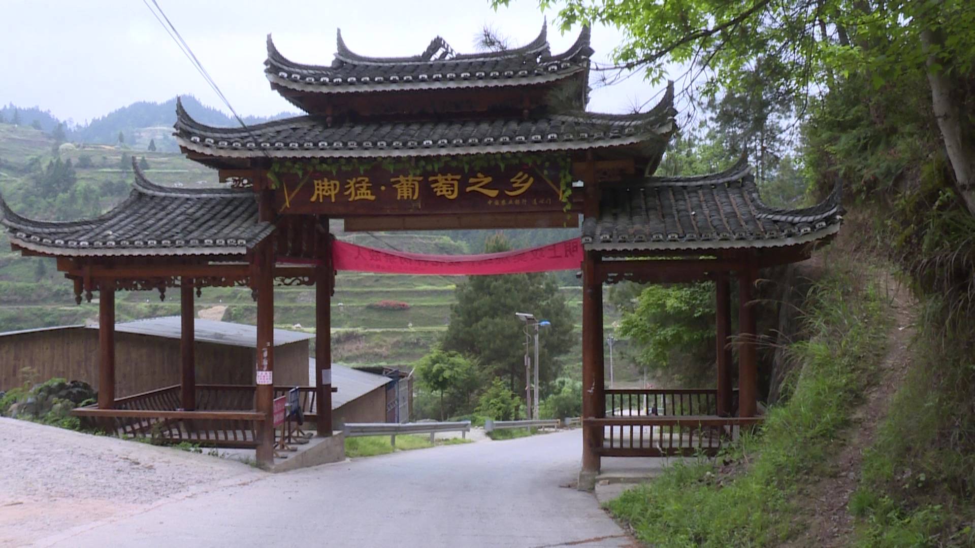 【和美城乡 四大行动】丹江镇脚猛村:扎实推进乡村绿化美化 擦亮乡村振兴亮丽“底色”_环境_生活_村民