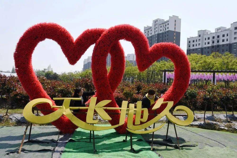 感受生活投入大自然的怀抱在天鸣花海休闲生活▲人气