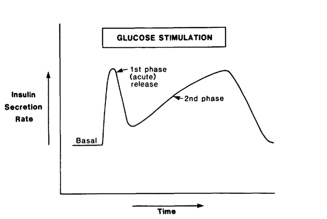 胰岛素分泌曲线图片
