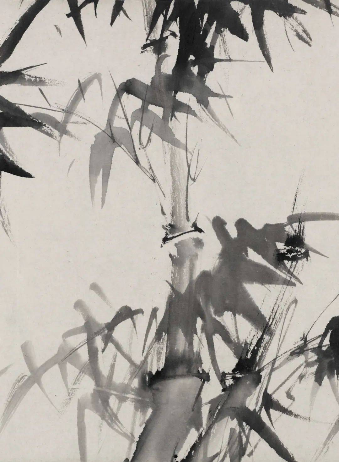徐渭画竹,行笔豪迈而不肆野,墨气淋漓酣畅!_水仙_竹子_音乐