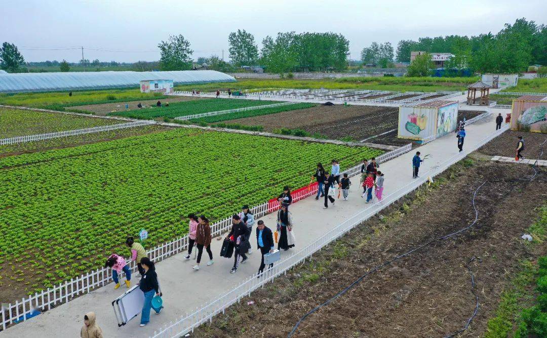 共享书香麦香——泗洪县总工会举办亲子工读拓展活动_劳动_上塘镇_湖