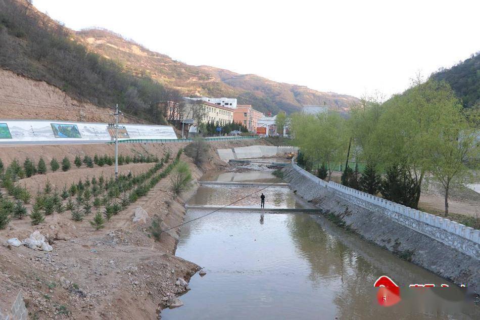 武山县温泉镇:添绿扩景铺就生态底色_绿化_环境_行道树