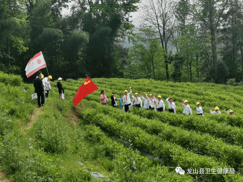 【健康龙山】守初心 谋发展周刊十三_进行_服务_石羔镇