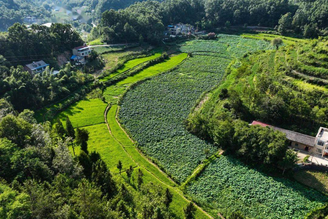 刘 辉丨草池湾的守望者_刘辉_珍珠河_石泉