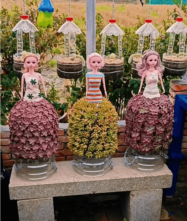 江苏小姐姐,因"用矿泉水瓶养多肉"而走红,网友:少女心动了_花篮_油桶