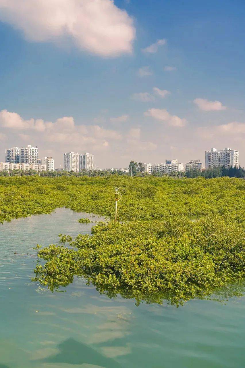 【欽州保稅港區國際商品直銷中心】→ 【仙島公園】→ 【欽州灣辣椒槌