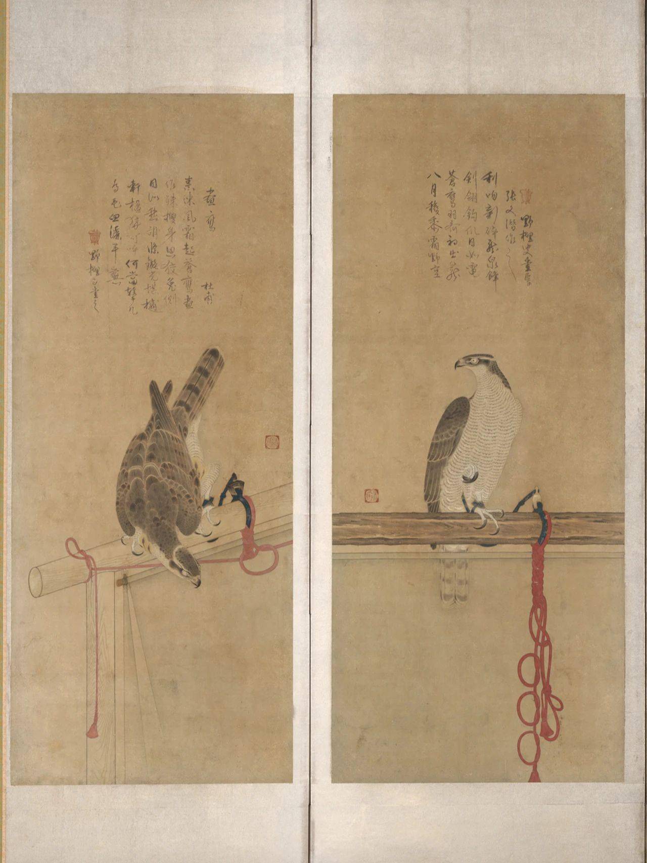 谁才是日本武士的爱宠?_猎鹰_屏风_时代