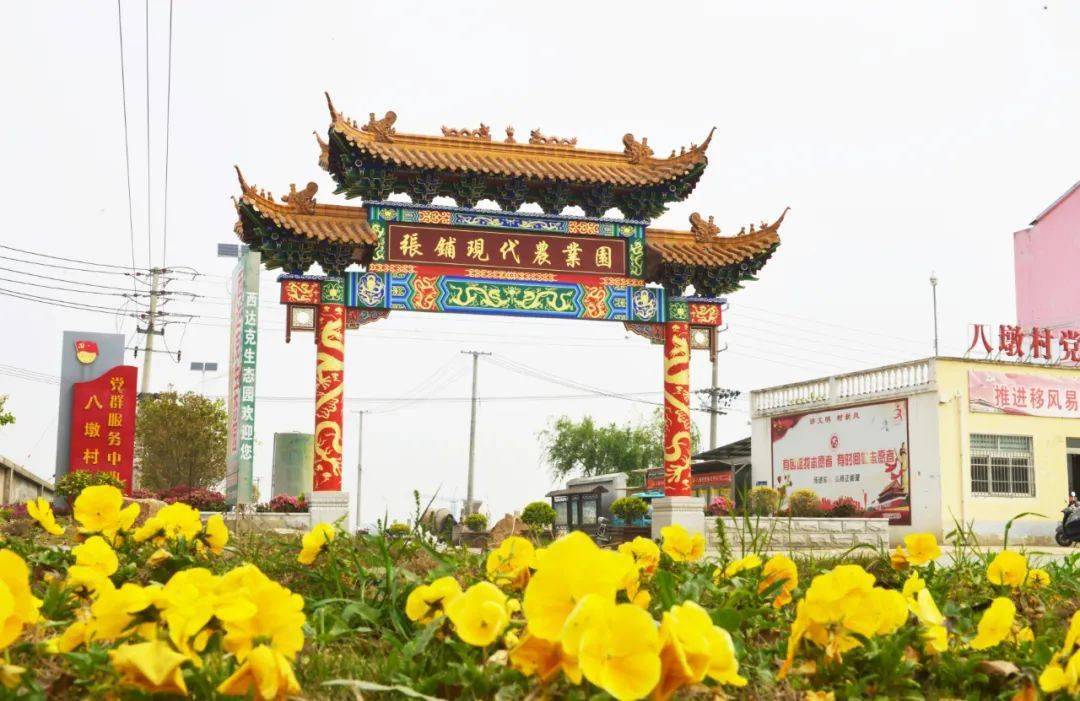 探索压榨菜籽油的魅力：传统工艺与现代科技的完美结合