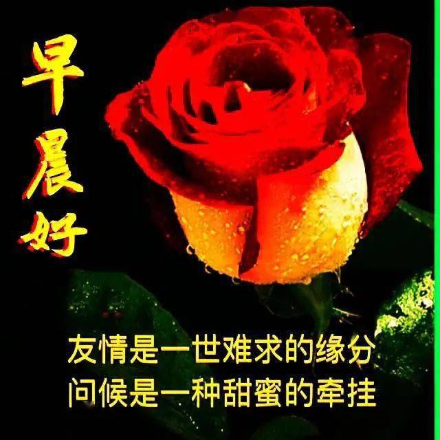 今日最新早上好表情包图片大全,快乐祝福,友谊长存!_问候_人生_朋友