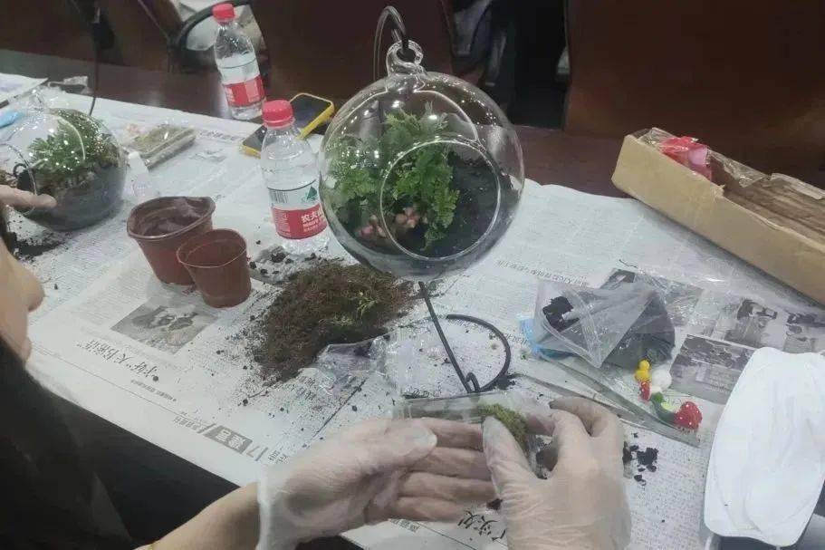 基层动态｜北新桥街道总工会开展绿植盆栽——创意微景观种植活动-创意绿植盆栽 手工图片