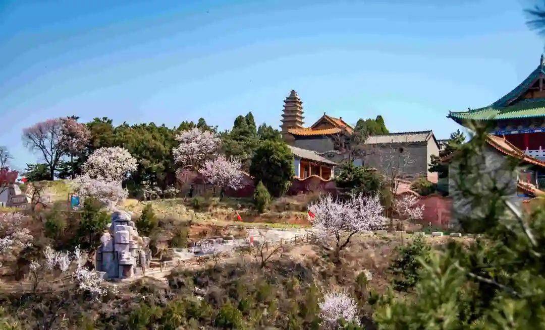 老爷山:"花资源"带动景区一路提升(有福利)_旅游_对外_风光