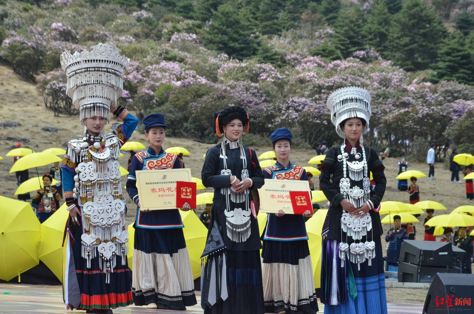 凉山普格县索玛花赏花季开幕,彝族传统选美冠军出炉