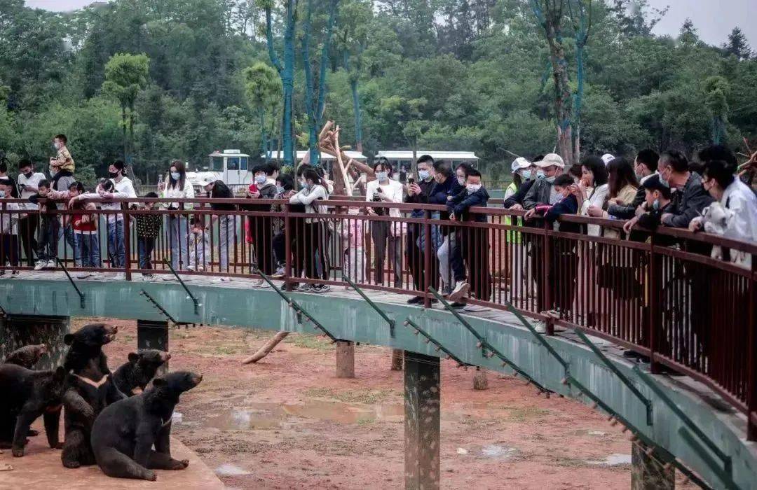 【五一提前1天預定】漢壽野生動物園!