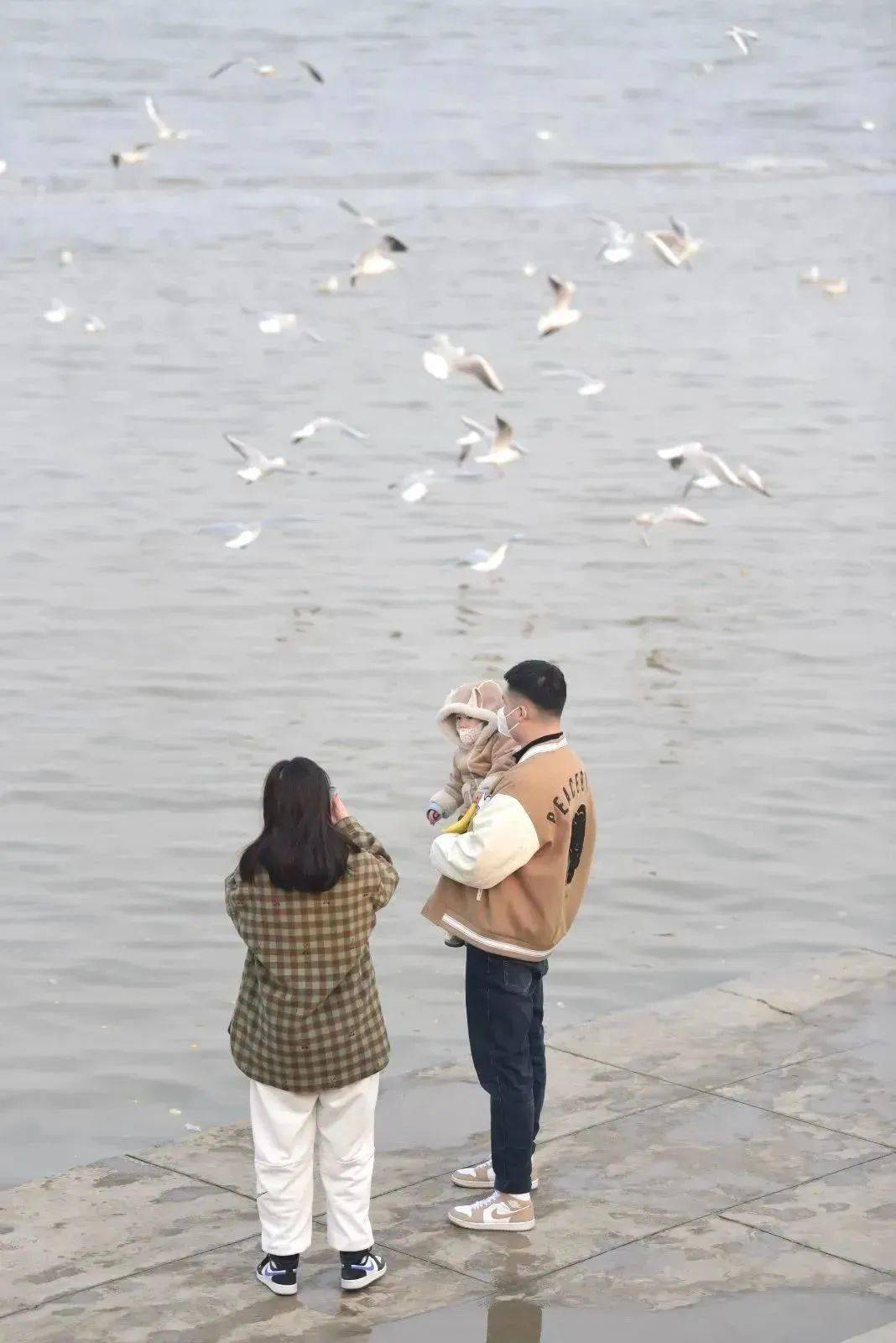 快收好这份滨城"向海乐活节"游玩详细路线!_天津_门票_时间