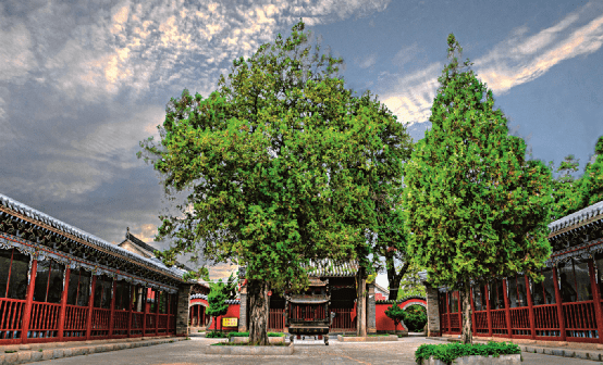 隴上特色研學遊:天水—禮縣祁山堡,大堡子山西垂陵園,秦文化博物館