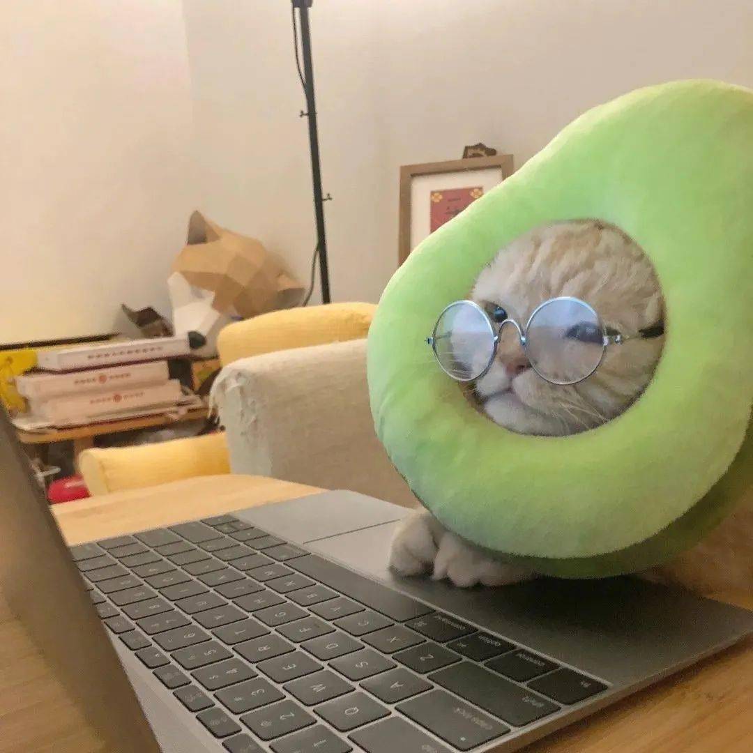 4.28 | 小头像 壁纸