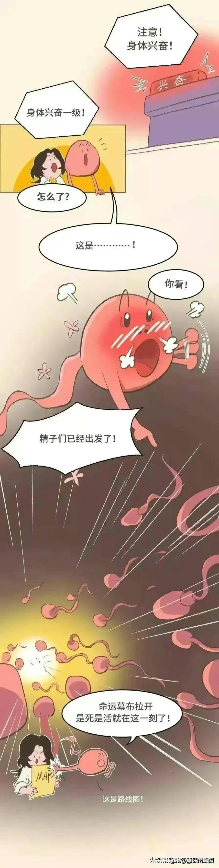 来自搜狐网