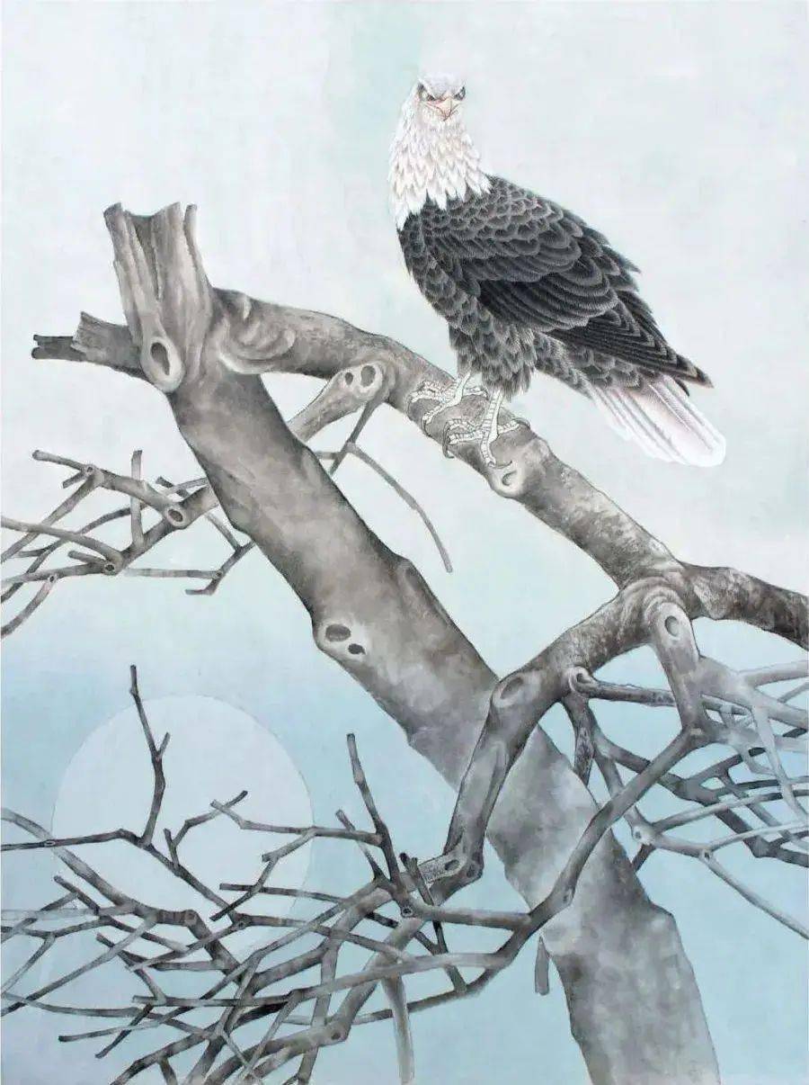 【国画教程】 工笔白尾海雕《古木英姿》技法步骤图示_部分_白色_羽毛