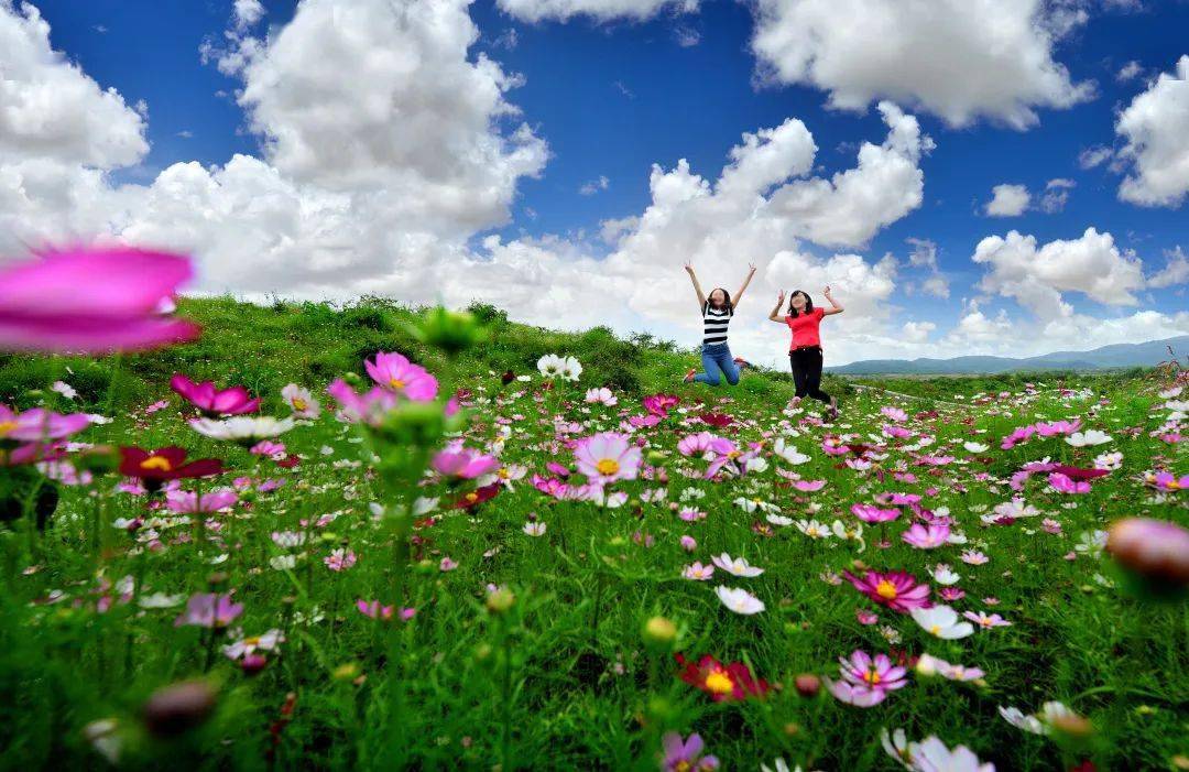 01/悬在云端上的花园