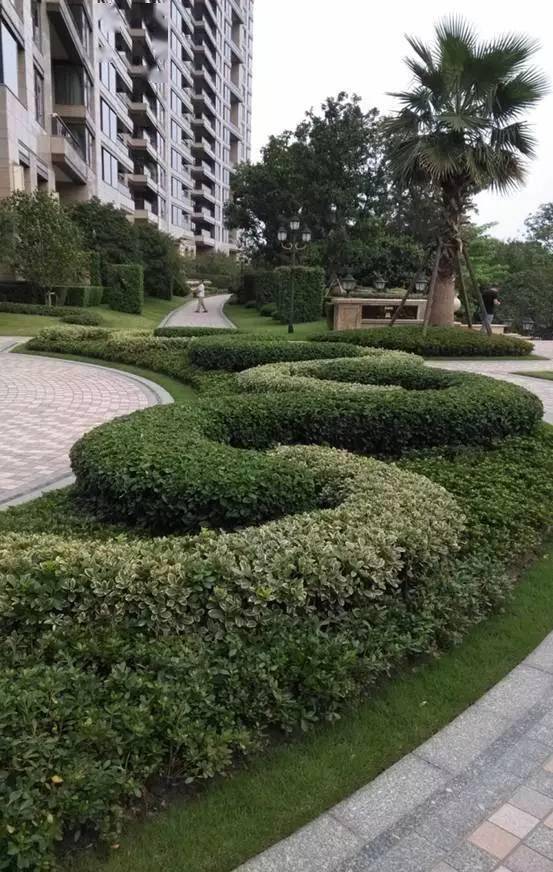 边线流畅,坡度自然,实践中对一些不宜作最下层的地被植物也可进行更换