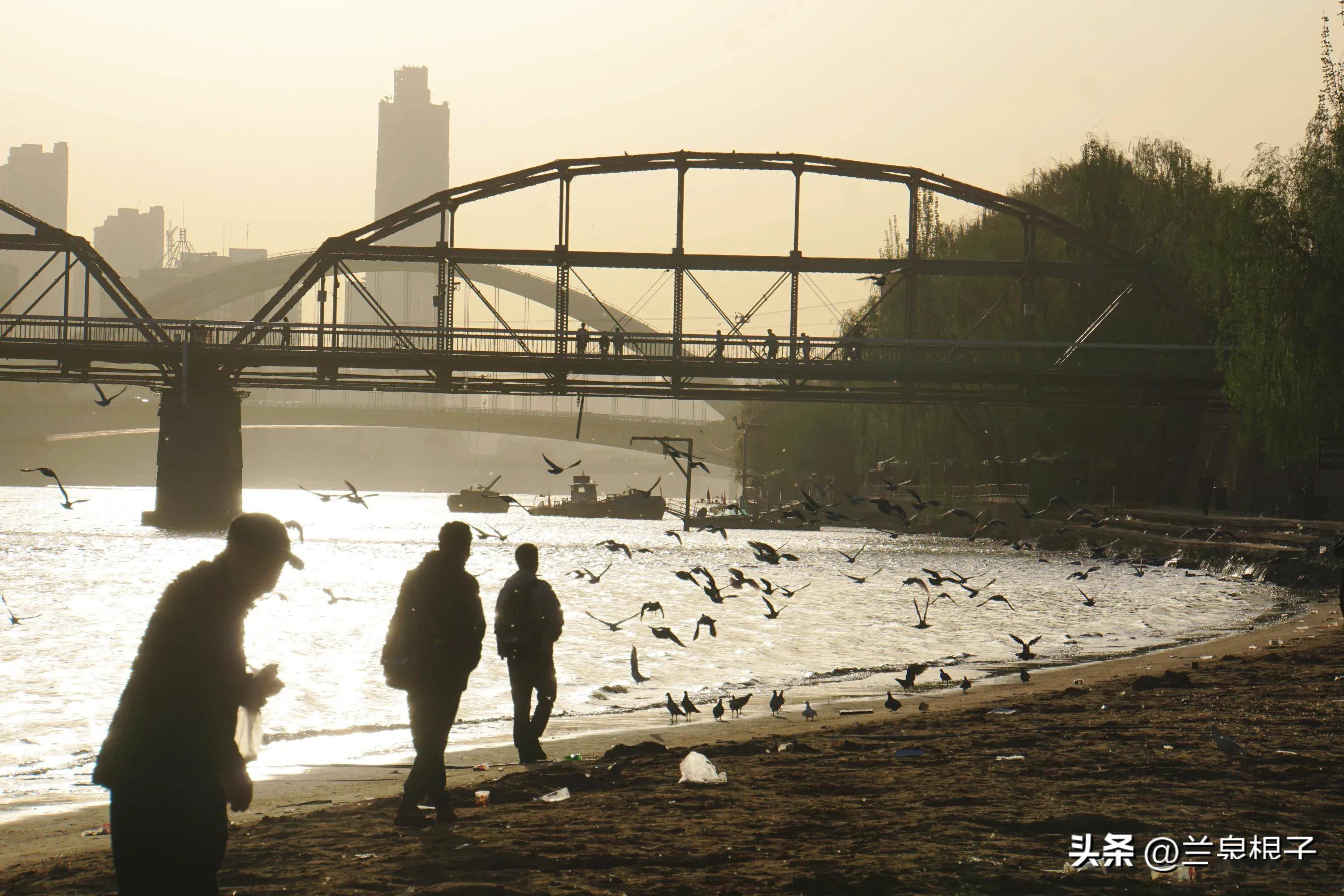 兰州黄河风情线大景区为游客服务中山桥设立志愿者讲解站_景点_进行