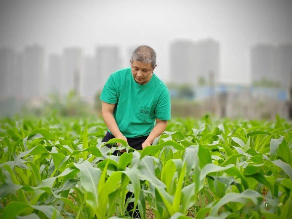 今年46岁的黄洪华是白沙镇人,毕业于湛江水产学院
