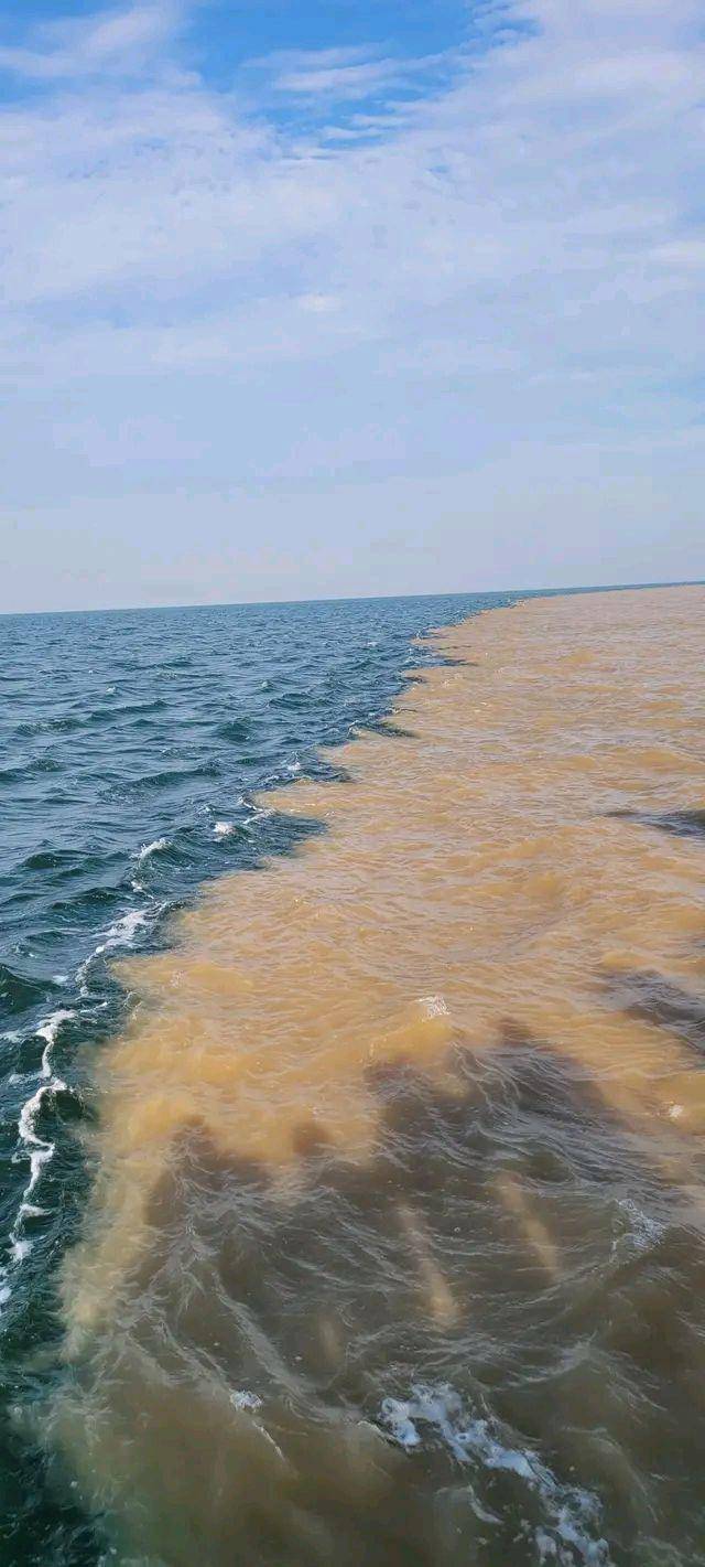 黄河入海口分界线图片图片