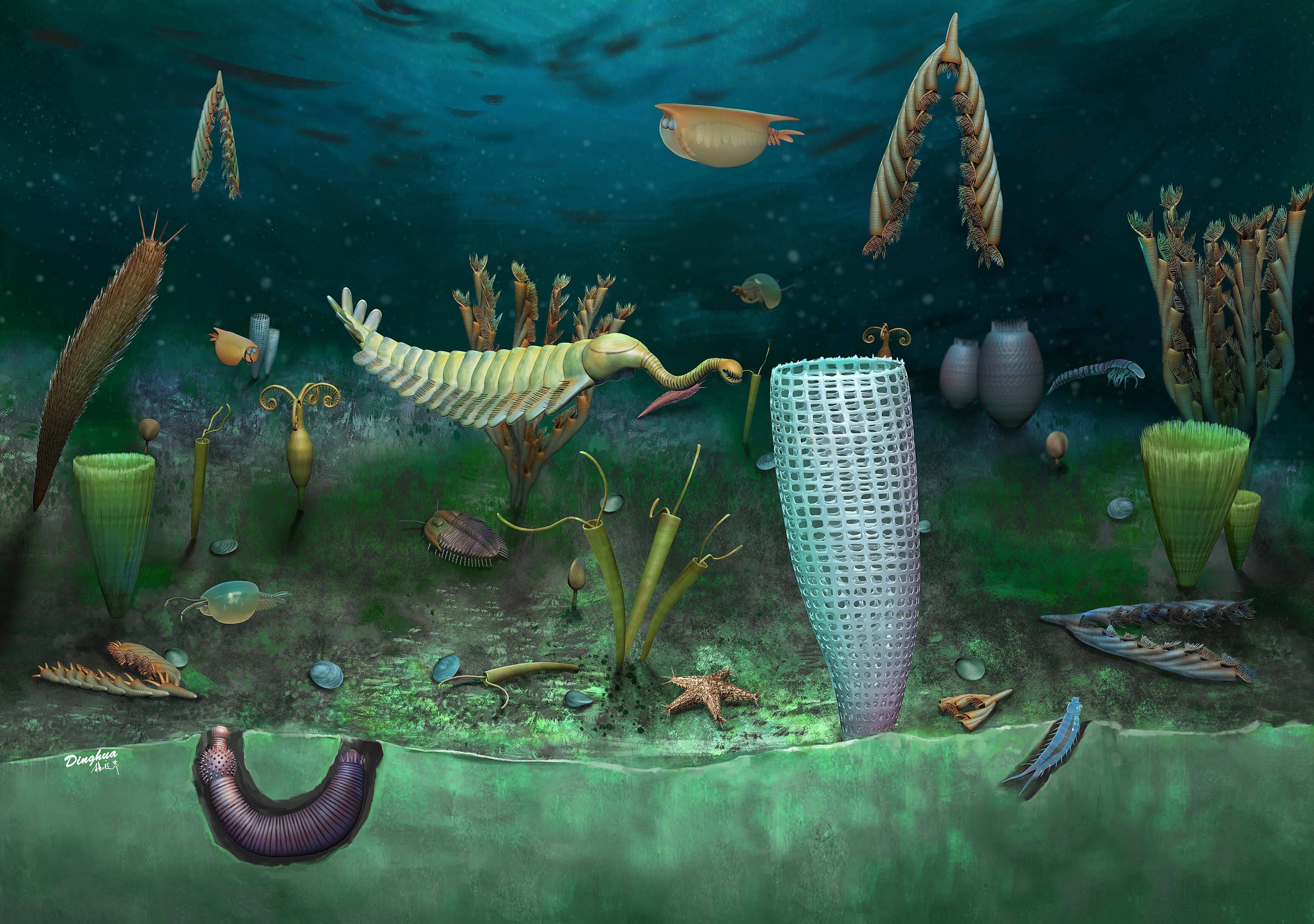 6亿年前海底迷你世界