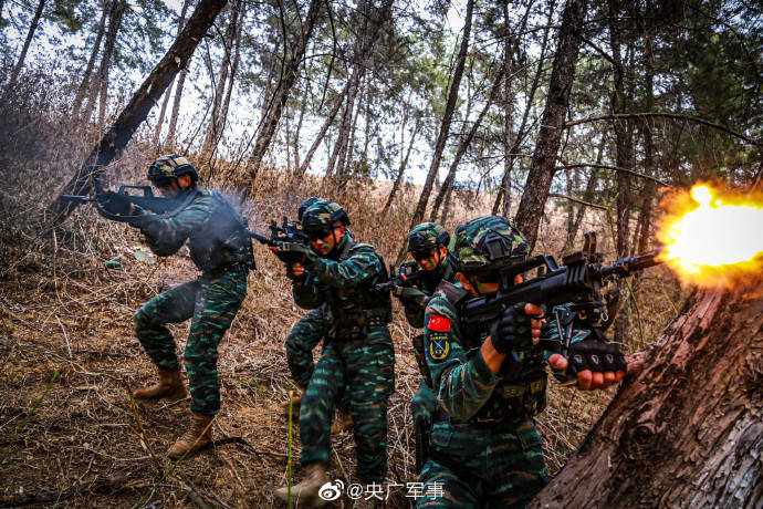 直击武警云南总队怒江支队特战队员山林地捕歼战斗演练