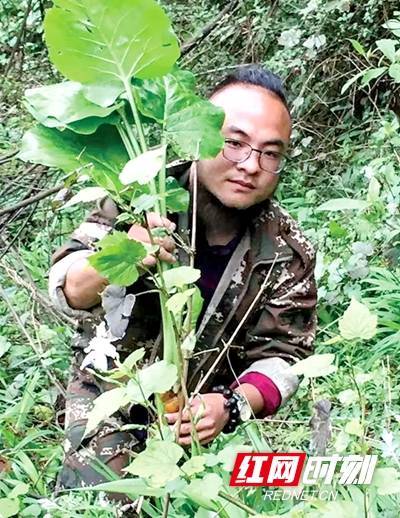 鲜花培训（广州花艺培训插花培训鲜花培训） 第3张