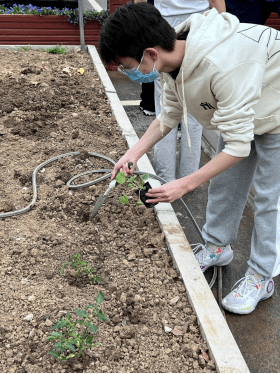 劳动实践照片图片