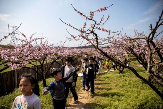 丰城市洪州窑碗泥岭,桃花谷景区:探寻陶瓷奥秘 体验乡野乐趣,将千年陶
