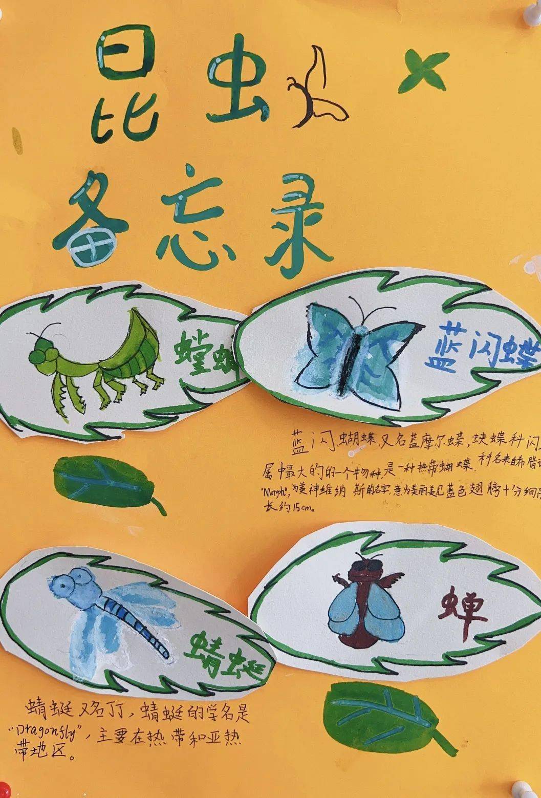 "润物细无声"——记双语部第六十八期楼层黑板报展_鲁滨逊_昆虫_漂流