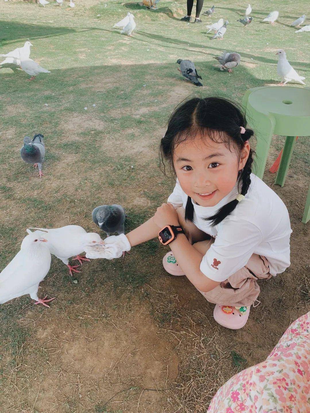 在麓湖生态城玩皮划艇,挑战自己◎ 锦西外国语实验小学 李沄桐徒步大