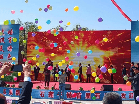 莒南县石莲子镇举办首届创意西瓜艺术节_活动_特色_领导