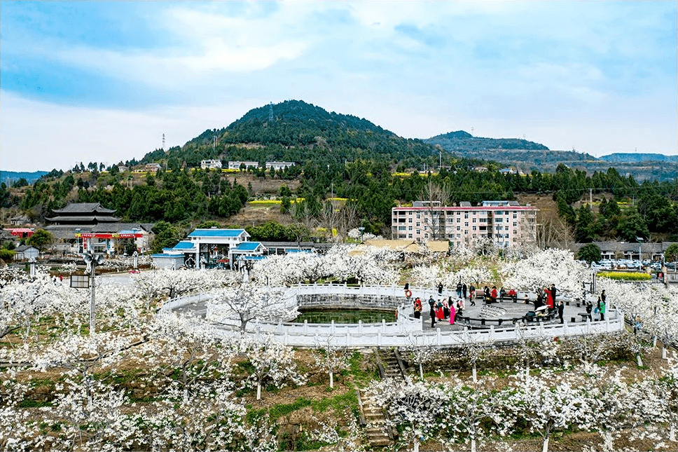 苍溪诗联|苍溪胜事之梨花节(绝句)_摄影_经营_沐春风