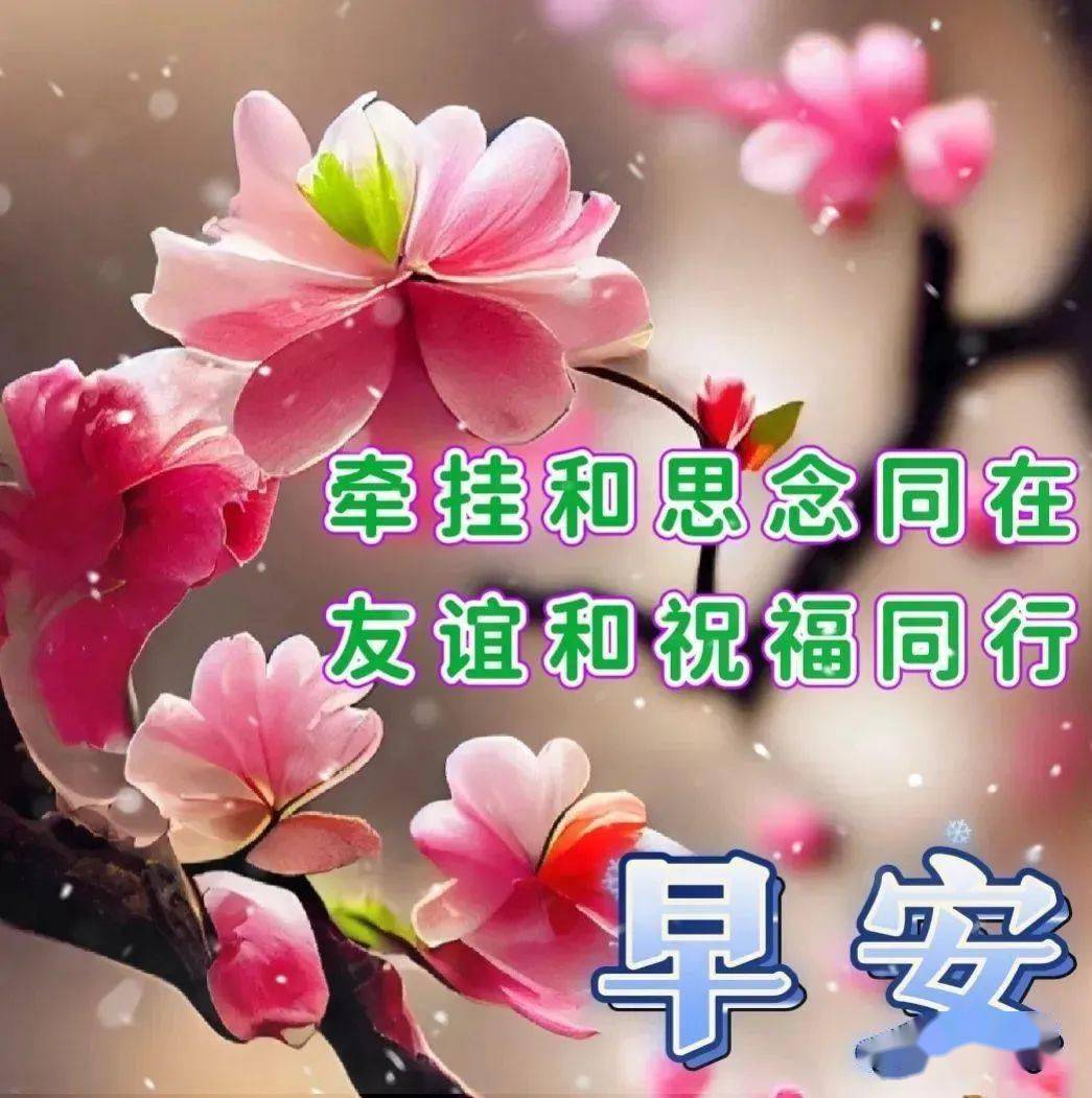 早上暖心祝福问候语句大全