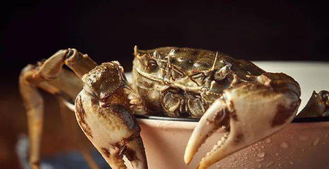 警惕!死掉的螃蟹最好不要吃了,具有一定的风险!