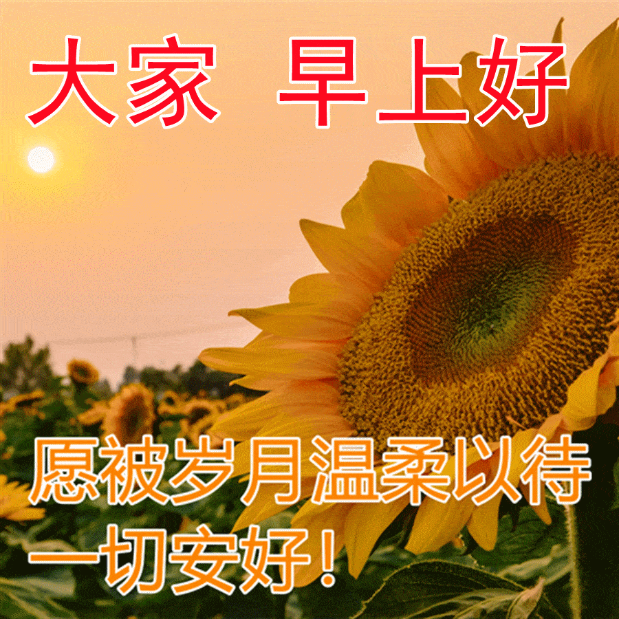 2023最新早上好表情包,幸福永驻,快乐永随_朋友_生活_祝福