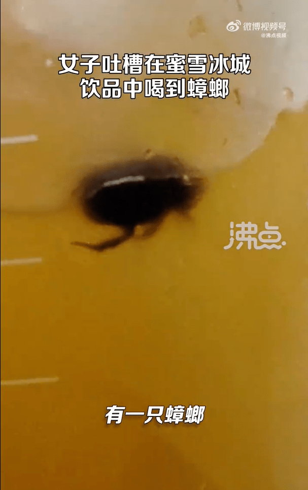 蜜雪冰城奶茶中喝到大蟑螂上热搜:曾多次因食品安全问题(图1)