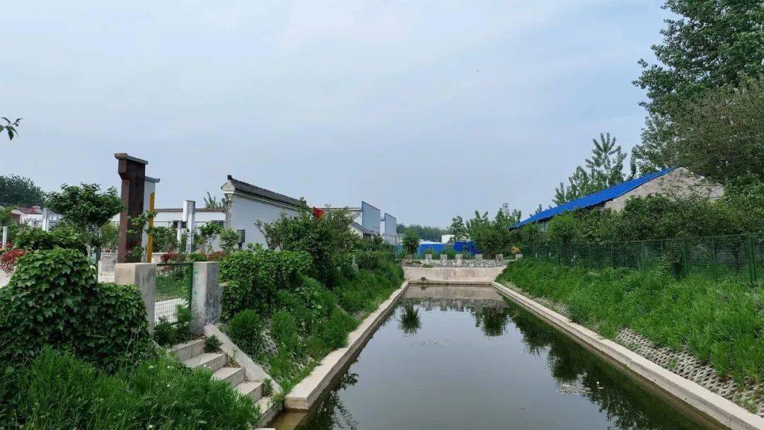 航拍宝应 | 氾水牌坊村:大运河畔的"明星"村 【附720度美景大图】