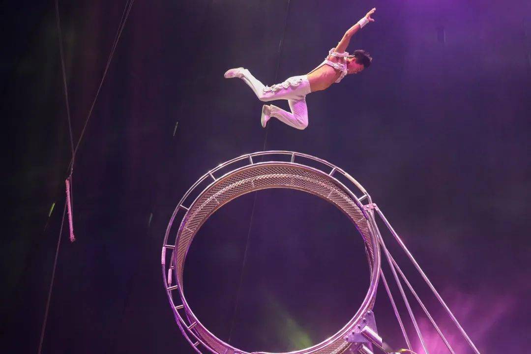 俄罗斯国际马戏,嗨爆全场_表演_演出_马背