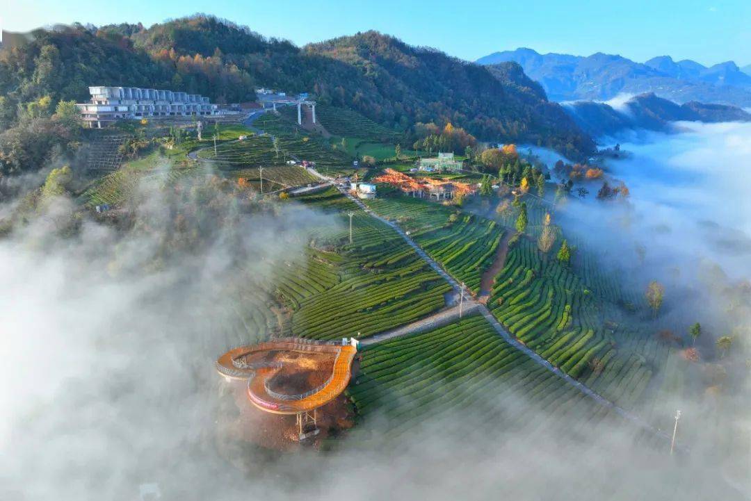 山地生态茶园)——五峰镇香东村茶叶公园(老县城后花园)——五峰镇小