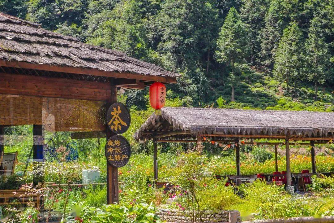 最值得奔赴的岭脚村,超适合周末来打卡!_空间_馄饨_白水口