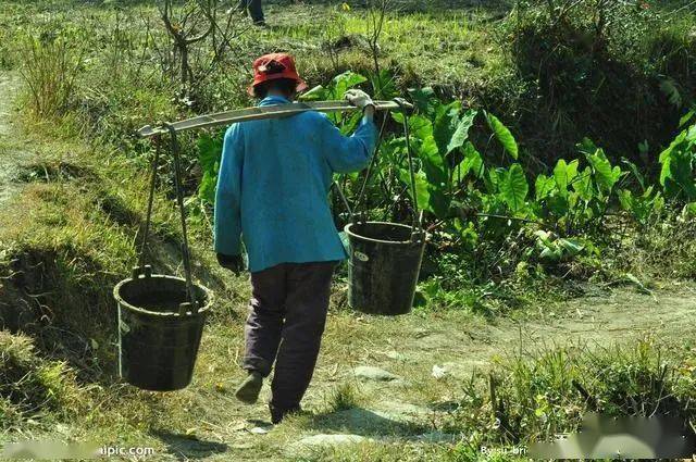 遗忘的粪窖_大粪_粪便_庄稼地